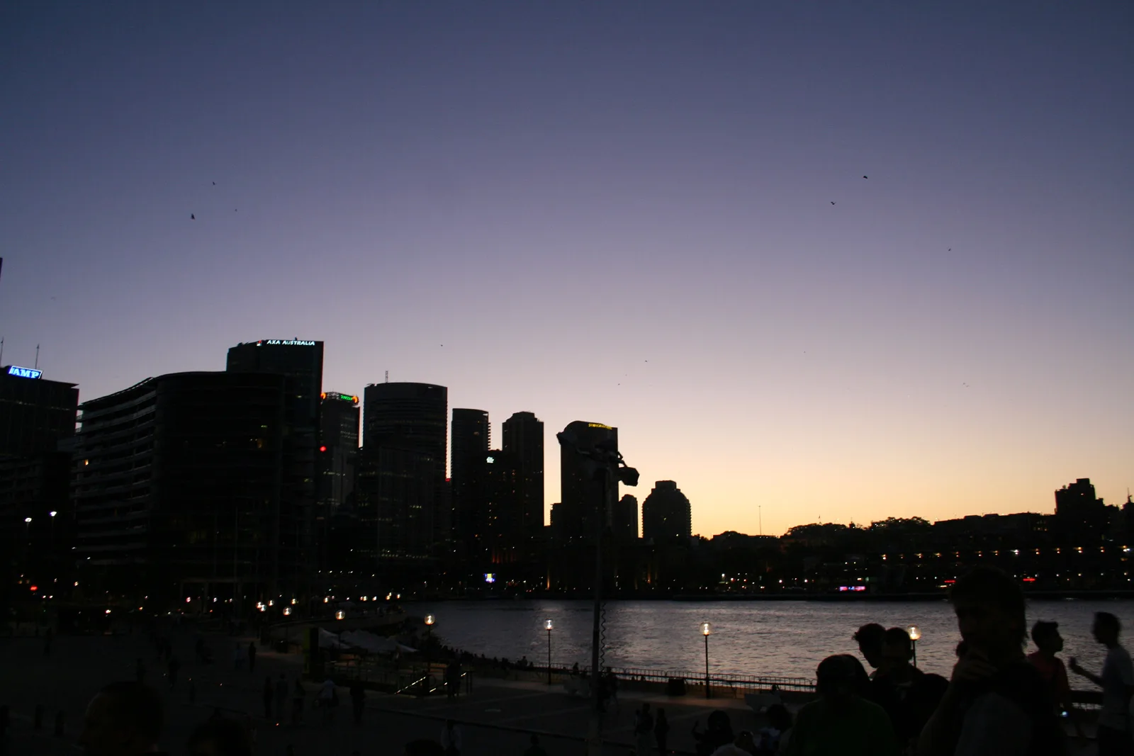 Sydney CBD Skyline at dusk