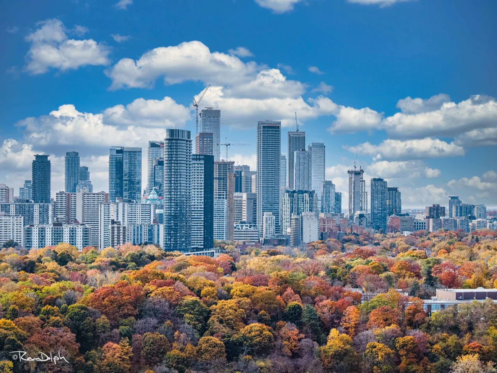 Toronto skyline - 2024