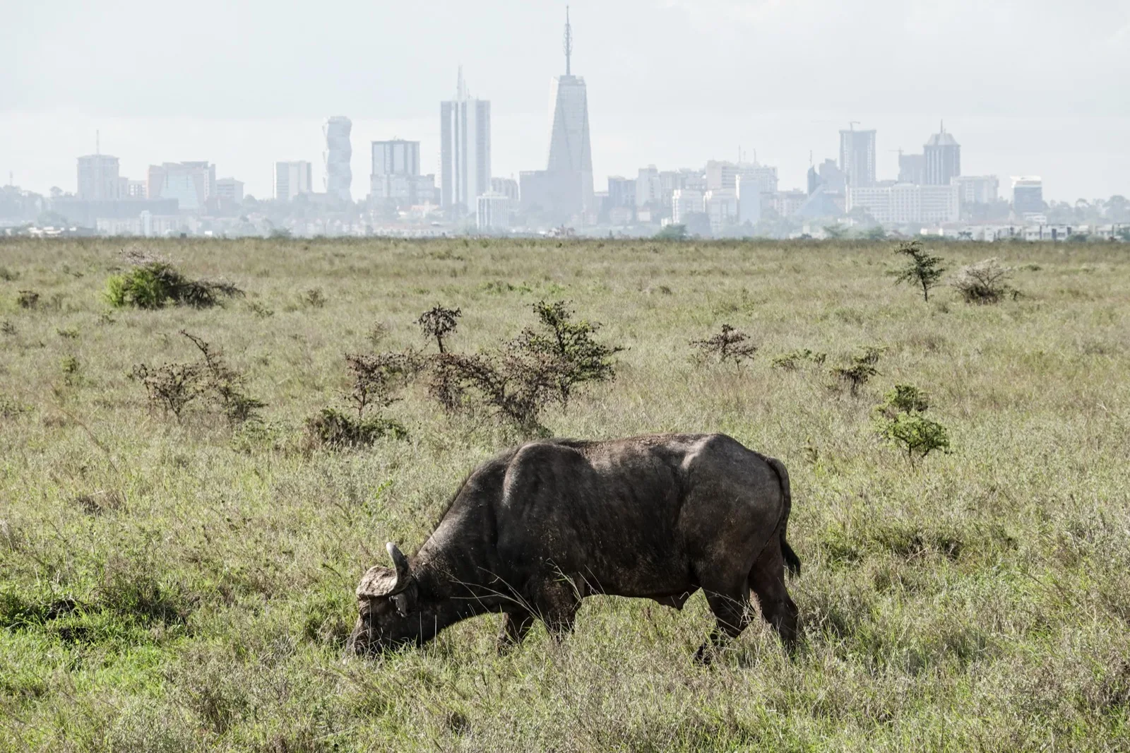 Logistics warehouses and industrial buildings on the outskirts of Nairobi, Kenya