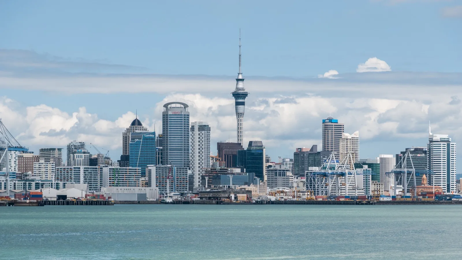 City skyline and harbour in Wellington, New Zealand