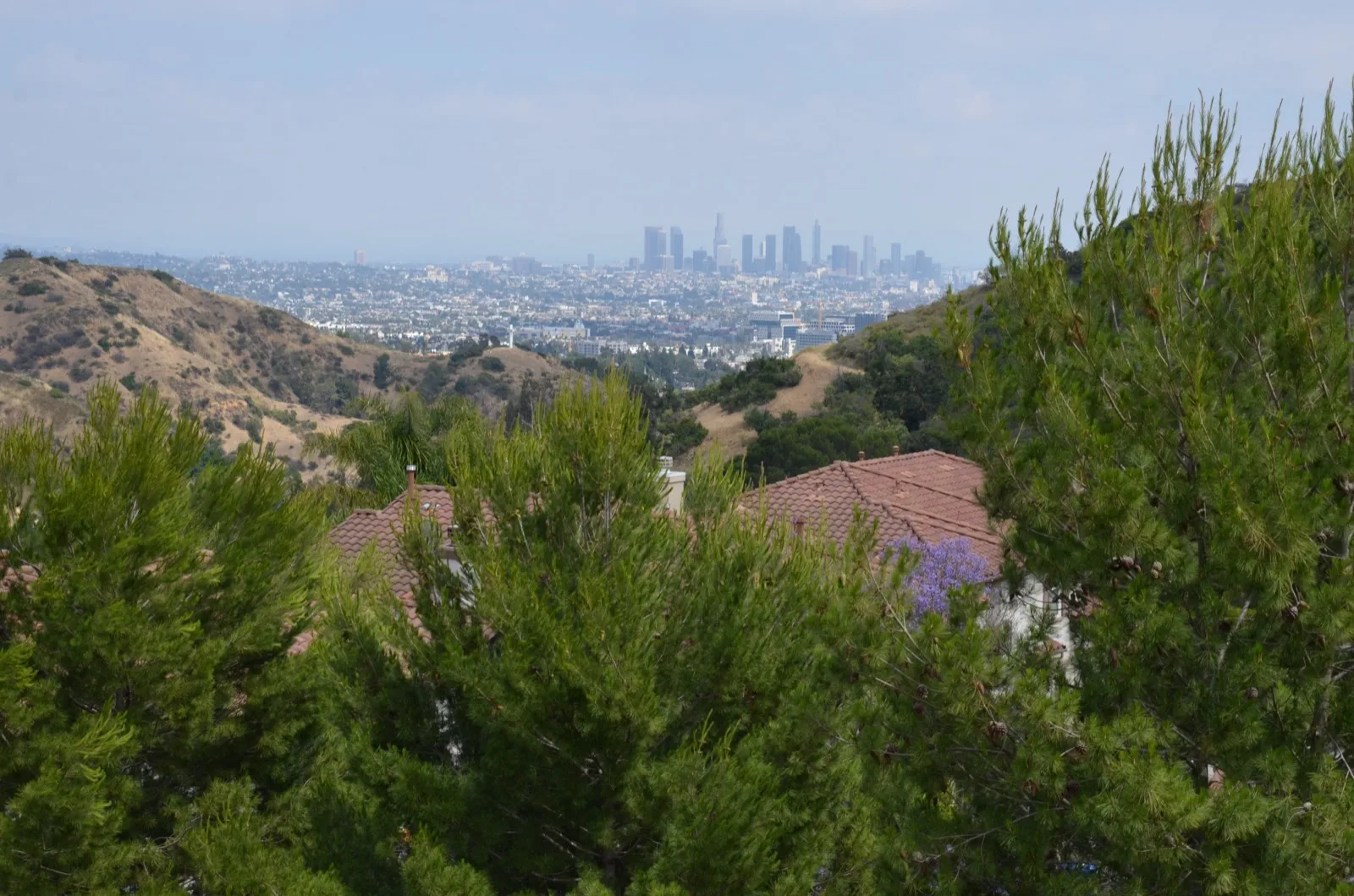 Skyline downtown Los Angeles 2019 1